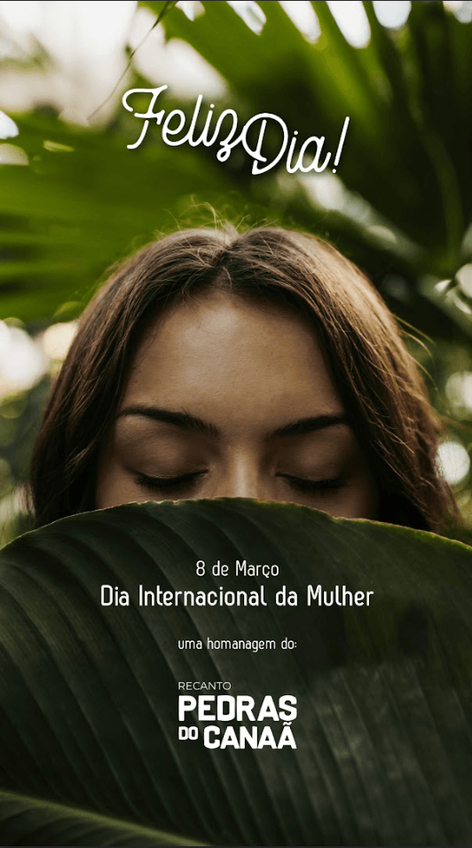 Stories & Campanhas Sazonais