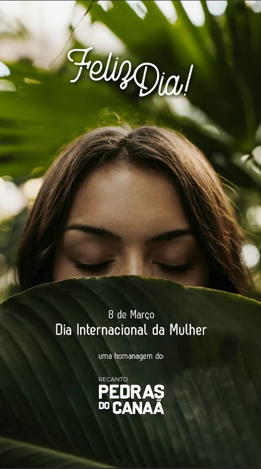 Stories & Campanhas Sazonais